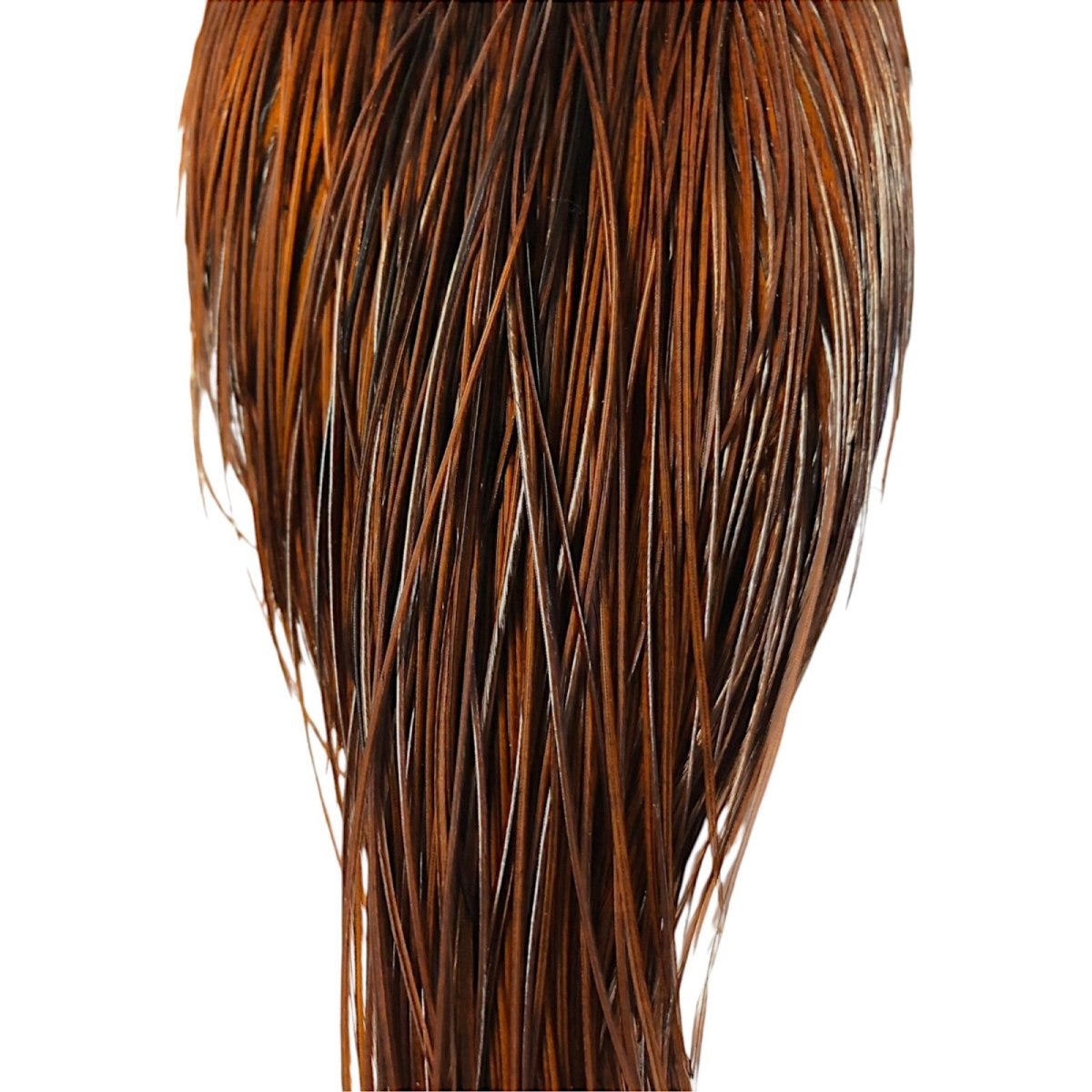 画像3: WHITING Rooster Cape ルースターケープ ダイドコーチマンブラウン Silver Grade  SWC8 ホワイティング  (3)