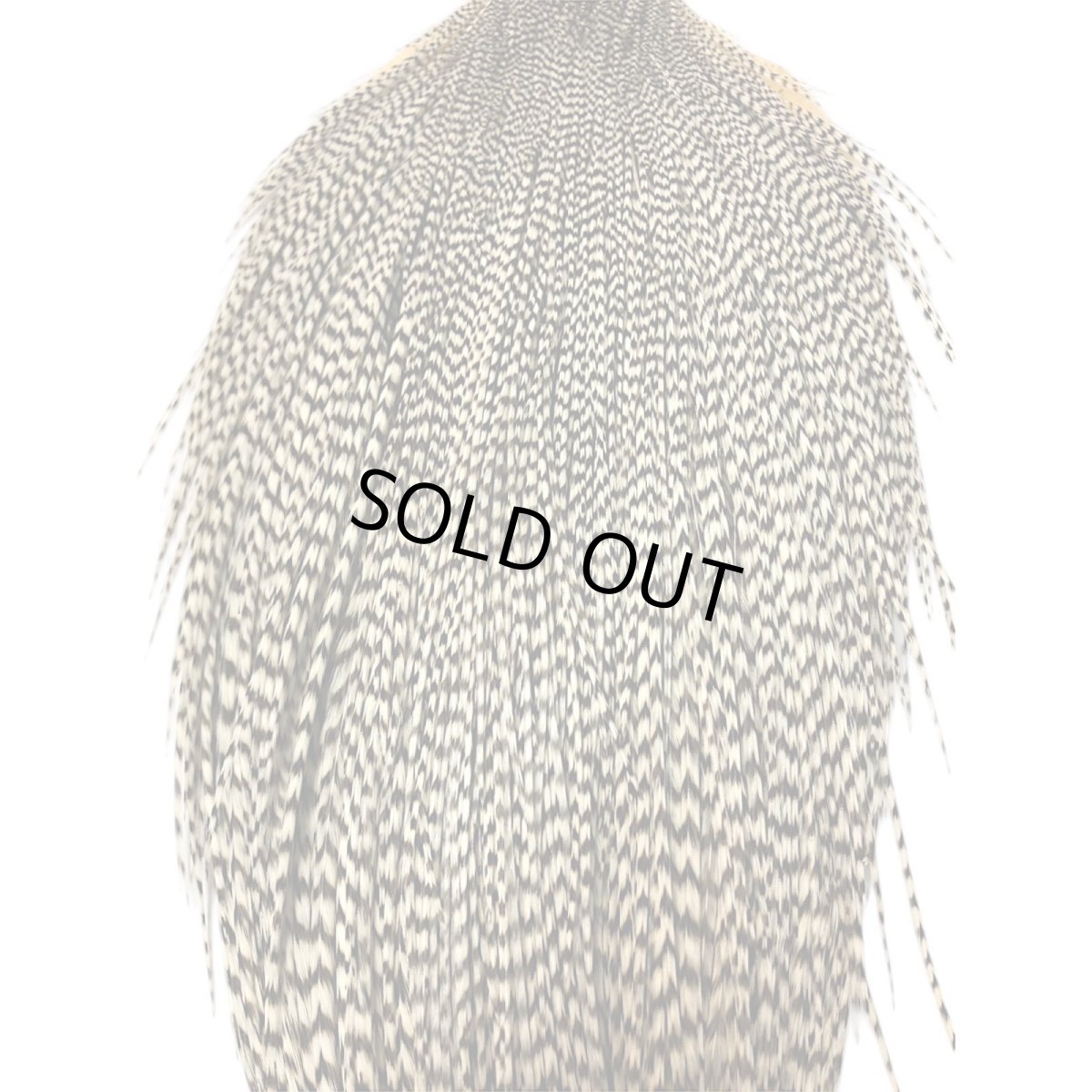 画像2: WHITING　Rooster Cape　ルースターケープ　グリズリー　Bronze Grade 　BWC7　ホワイティング　 (2)