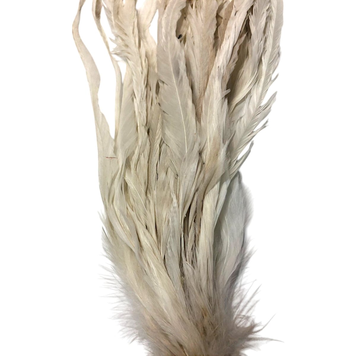 画像4: WHITING  SCHLAPPEN  シュラッペンバンドル10-14 ホワイト SCHBD7 ホワイティング  (4)