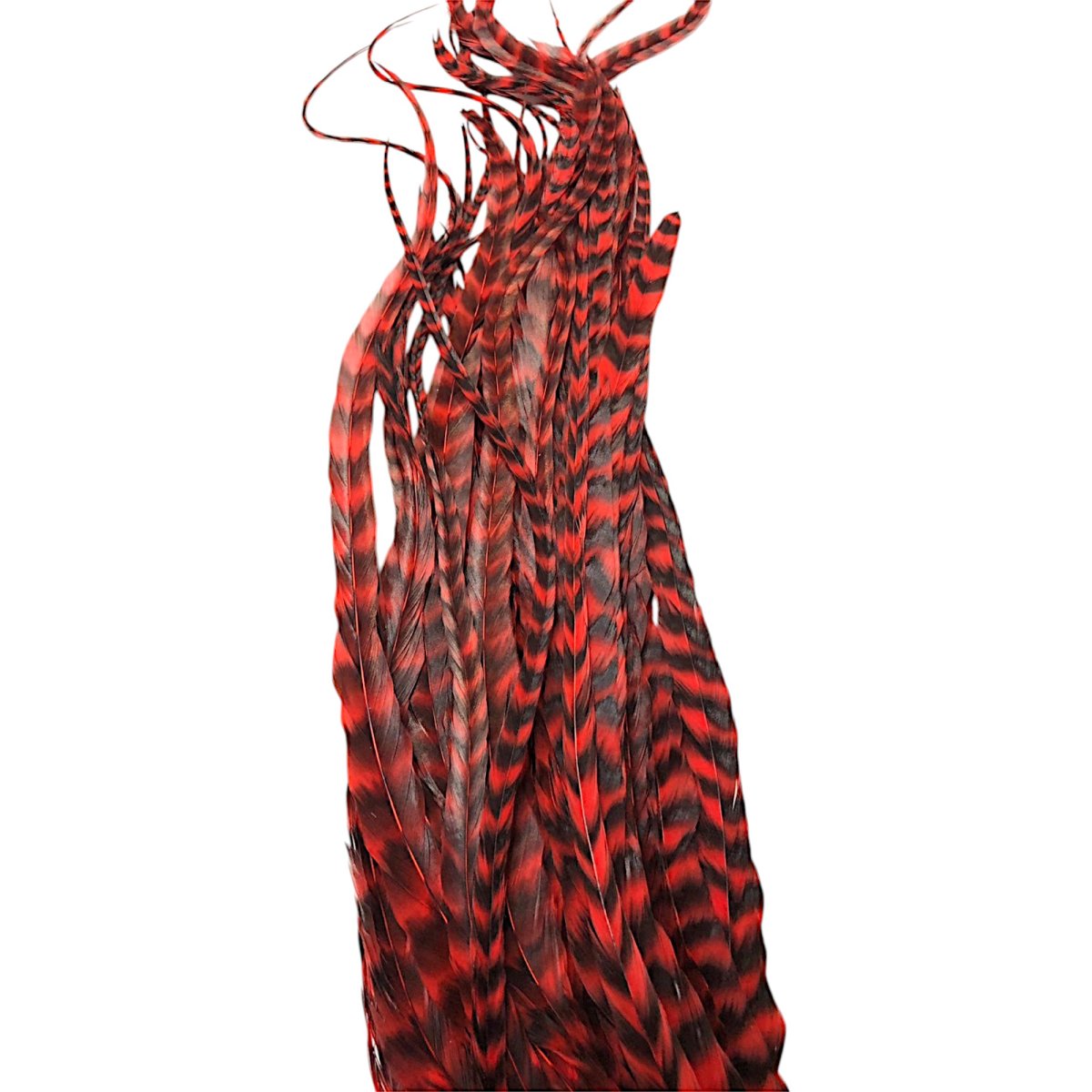 画像3: WHITING  SCHLAPPEN  シュラッペンバンドル10-14 グリズリーレッド SCHBD12 ホワイティング  (3)