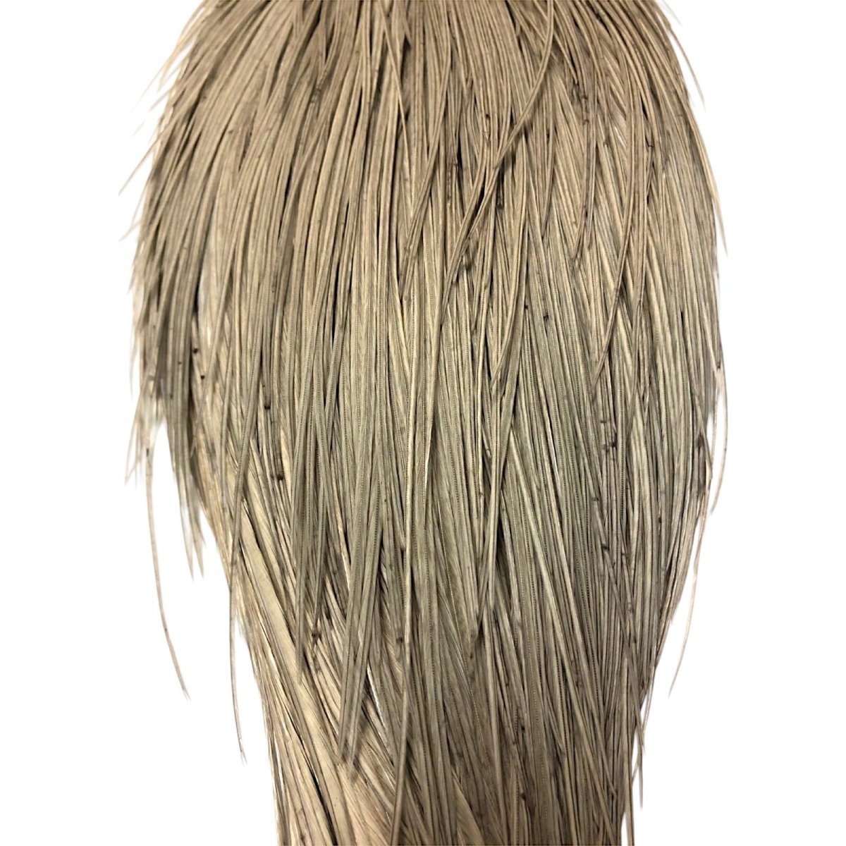 画像3: WHITING Rooster Cape ルースターケープ ダイドミディアムダン Bronze Grade  BWC19 ホワイティング  (3)