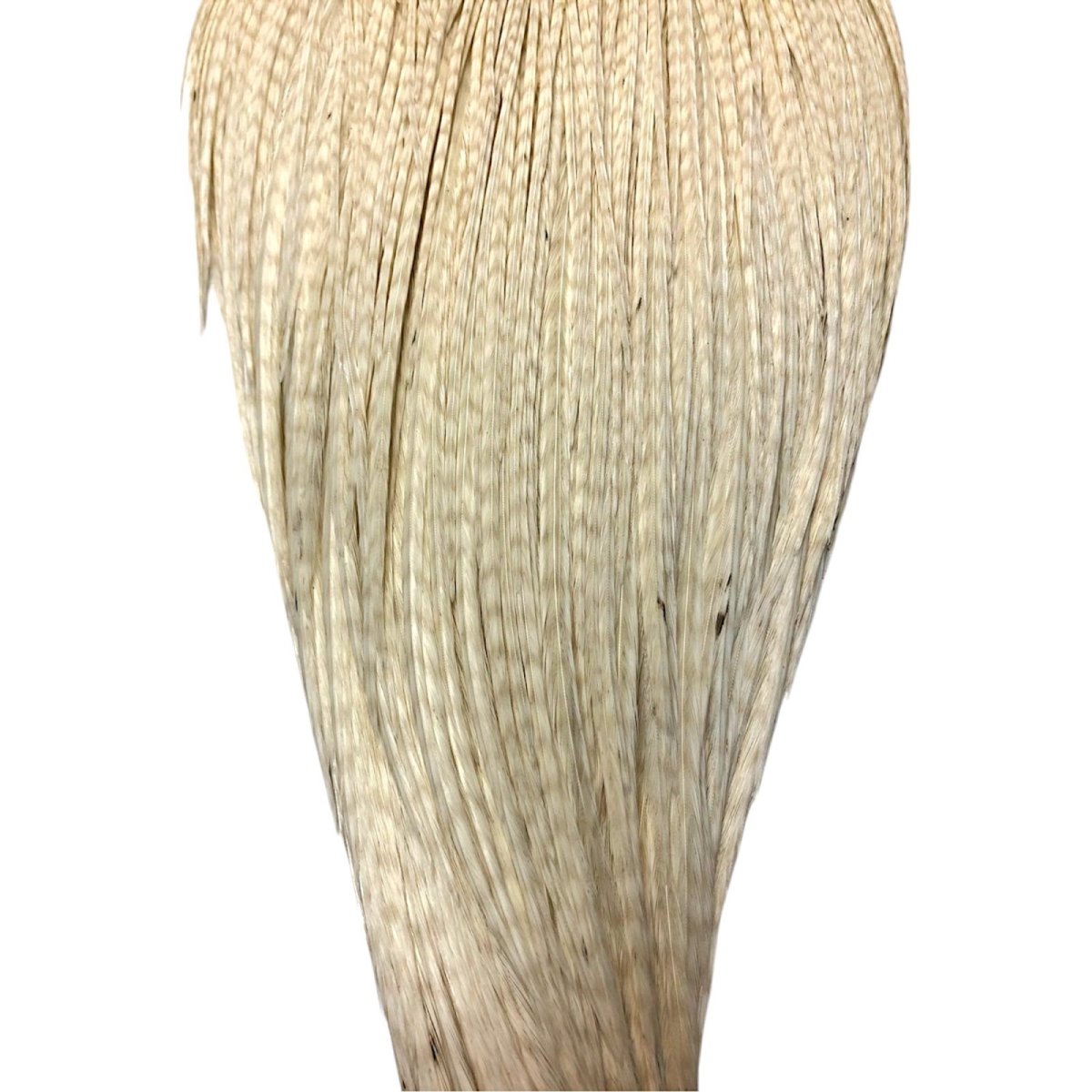 画像3: WHITING Rooster Cape ルースターケープ ホワイト Bronze Grade  BWC9 ホワイティング  (3)