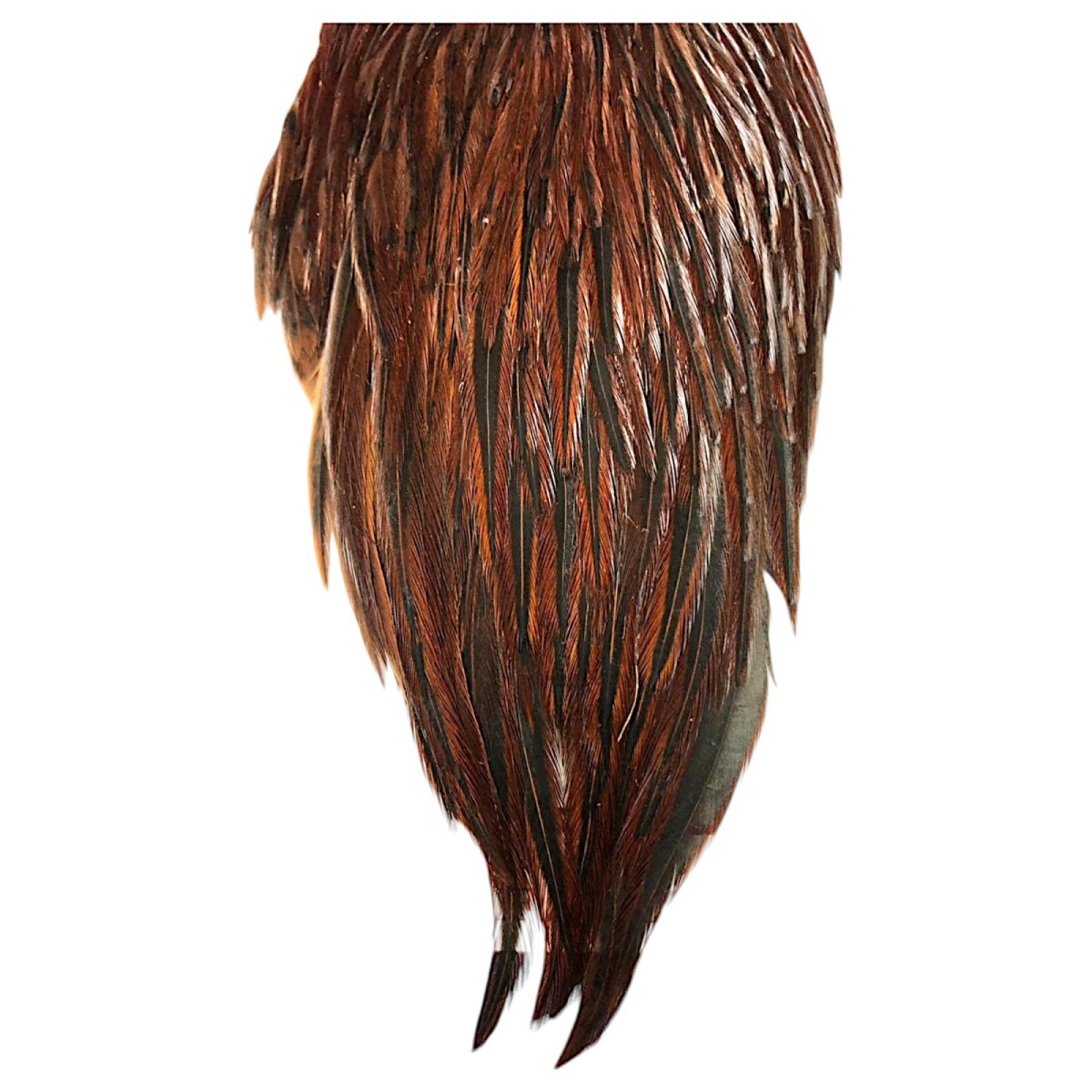 画像3: WHITING Hen Cape ヘンケープ ブラウン HHHEC4 ホワイティング  (3)