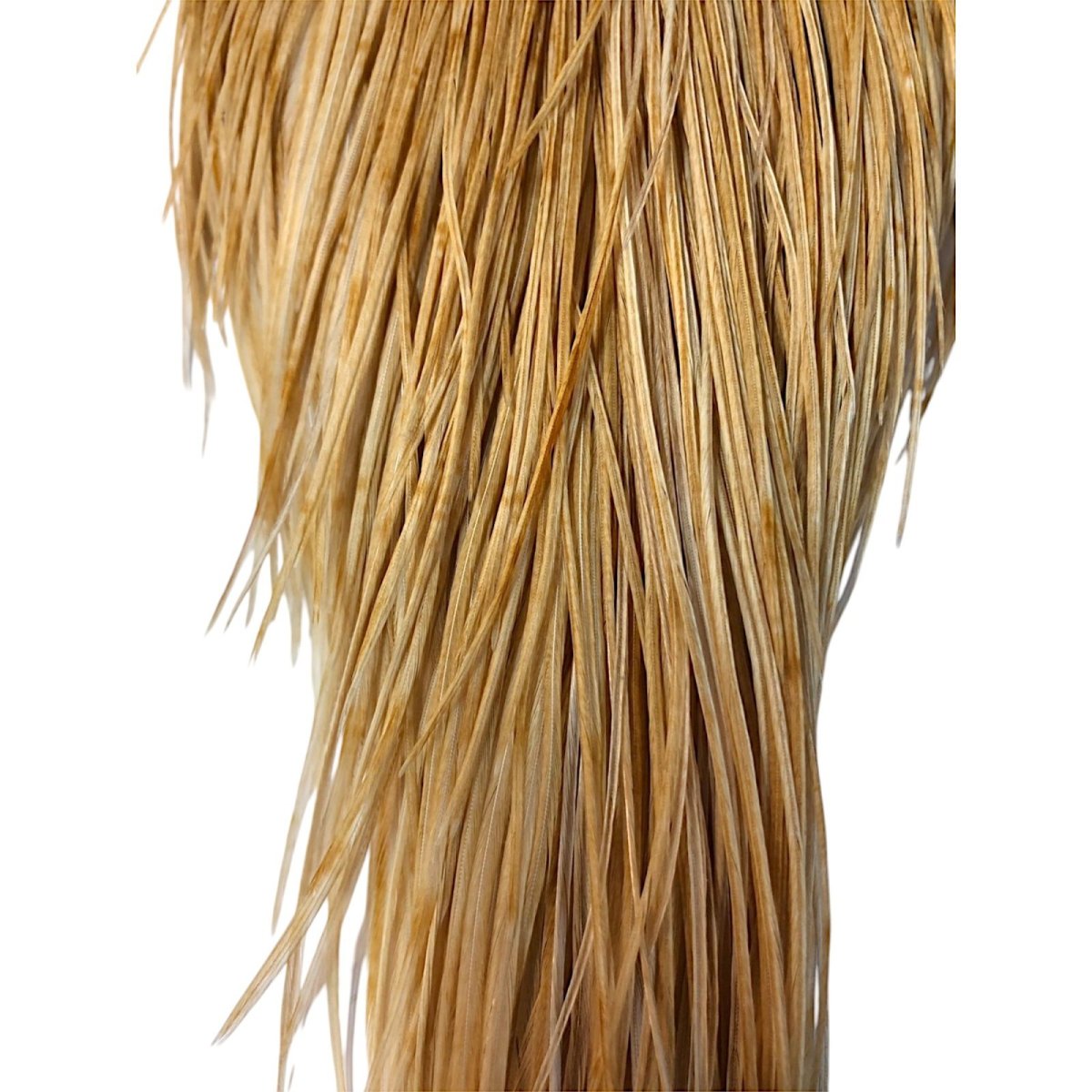 画像3: WHITING Rooster Cape ルースターケープ ライトジンジャー Silver Grade  SWC2 ホワイティング  (3)