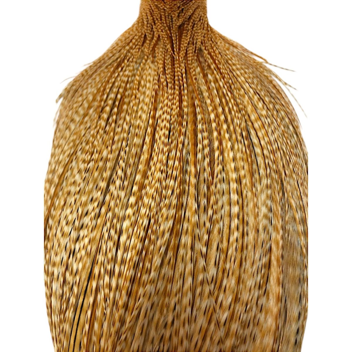 画像2: WHITING Rooster Cape ルースターケープ バードミディアムジンジャー Pro Grade  PWC4 ホワイティング  (2)