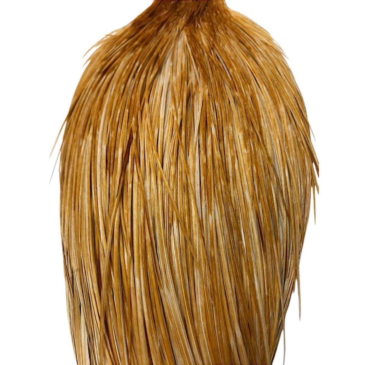 画像2: WHITING Rooster Cape ルースターケープ ミディアムジンジャー Silver Grade  SWC14 ホワイティング  (2)