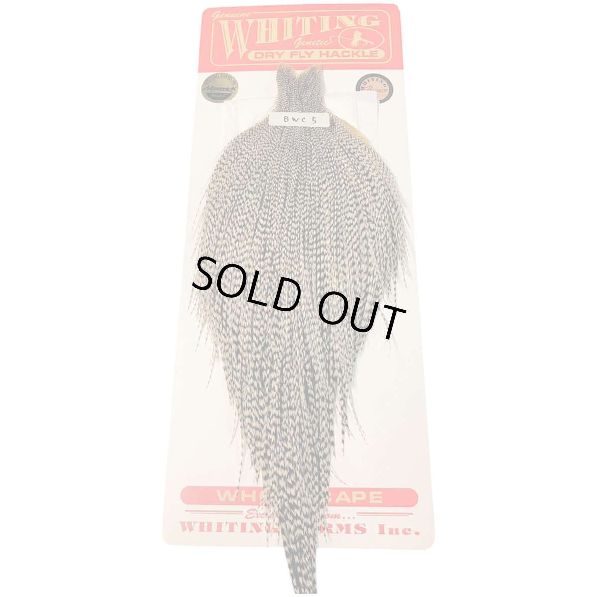 画像1: WHITING Rooster Cape ルースターケープ グリズリー Bronze Grade  BWC5 ホワイティング  (1)