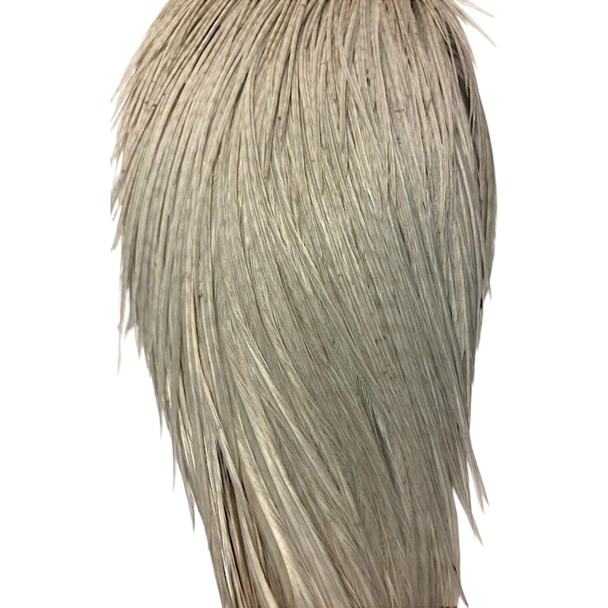 画像3: WHITING Rooster Cape ルースターケープ ダイドライトダン Pro Grade  PWC2 ホワイティング  (3)