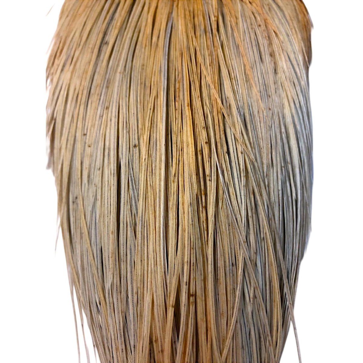 画像3: WHITING Rooster Cape ルースターケープ ライトジンジャー Silver Grade  SWC3 ホワイティング  (3)