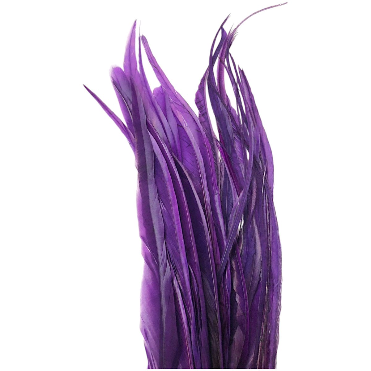 画像3: WHITING  SCHLAPPEN  シュラッペンバンドル10-14 ダイドパープル SCHBD3 ホワイティング  (3)