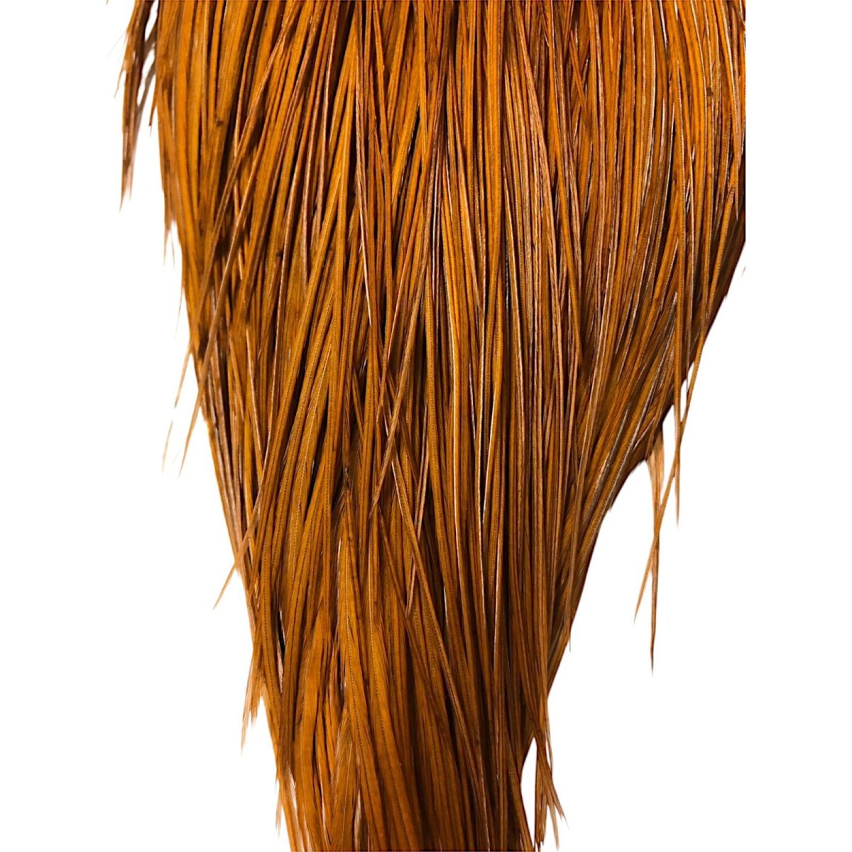 画像3: WHITING Rooster Cape ルースターケープ ダイドブラウン Silver Grade  SWC17 ホワイティング  (3)