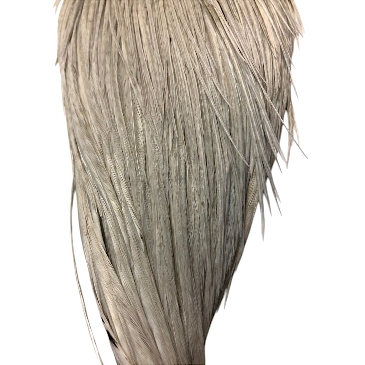 画像3: WHITING Rooster Cape ルースターケープ ダイドライトダン Pro Grade  PWC1 ホワイティング  (3)