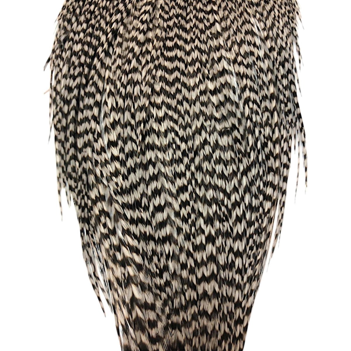 画像3: WHITING Rooster Cape ルースターケープ グリズリーミディアムダン Bronze Grade  BWC22 ホワイティング  (3)