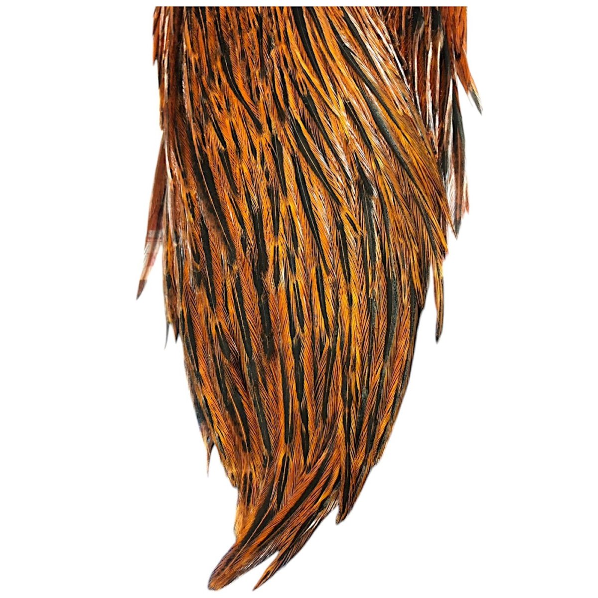 画像3: WHITING　Hen Cape　ヘンケープ　ブラウン　HHHEC3　ホワイティング　 (3)