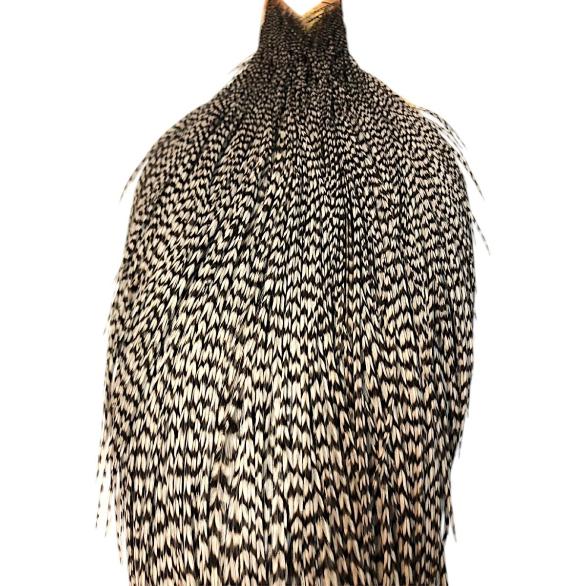 画像2: WHITING Rooster Cape ルースターケープ グリズリーミディアムダン Bronze Grade  BWC23 ホワイティング  (2)