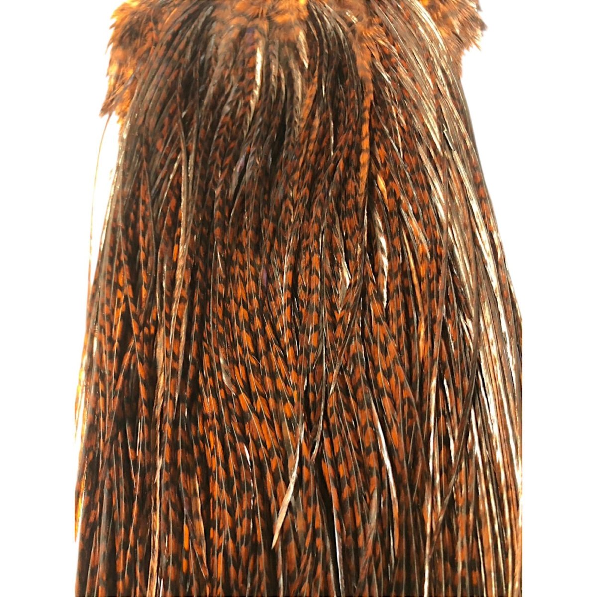 画像2: WHITING Rooster Saddle ルースターサドル グリズリーコーチマンブラウン Bronze Grade  WBRS4 ホワイティング  (2)