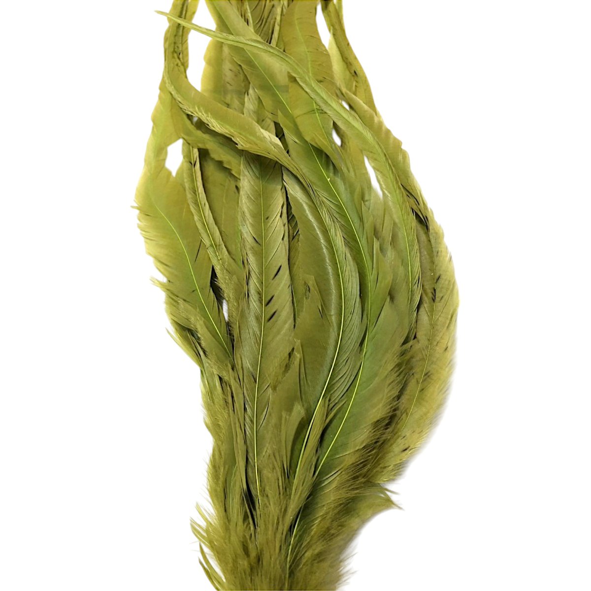 画像4: WHITING  SCHLAPPEN  シュラッペンバンドル10-14 ダイドオリーブ SCHBD4 ホワイティング  (4)