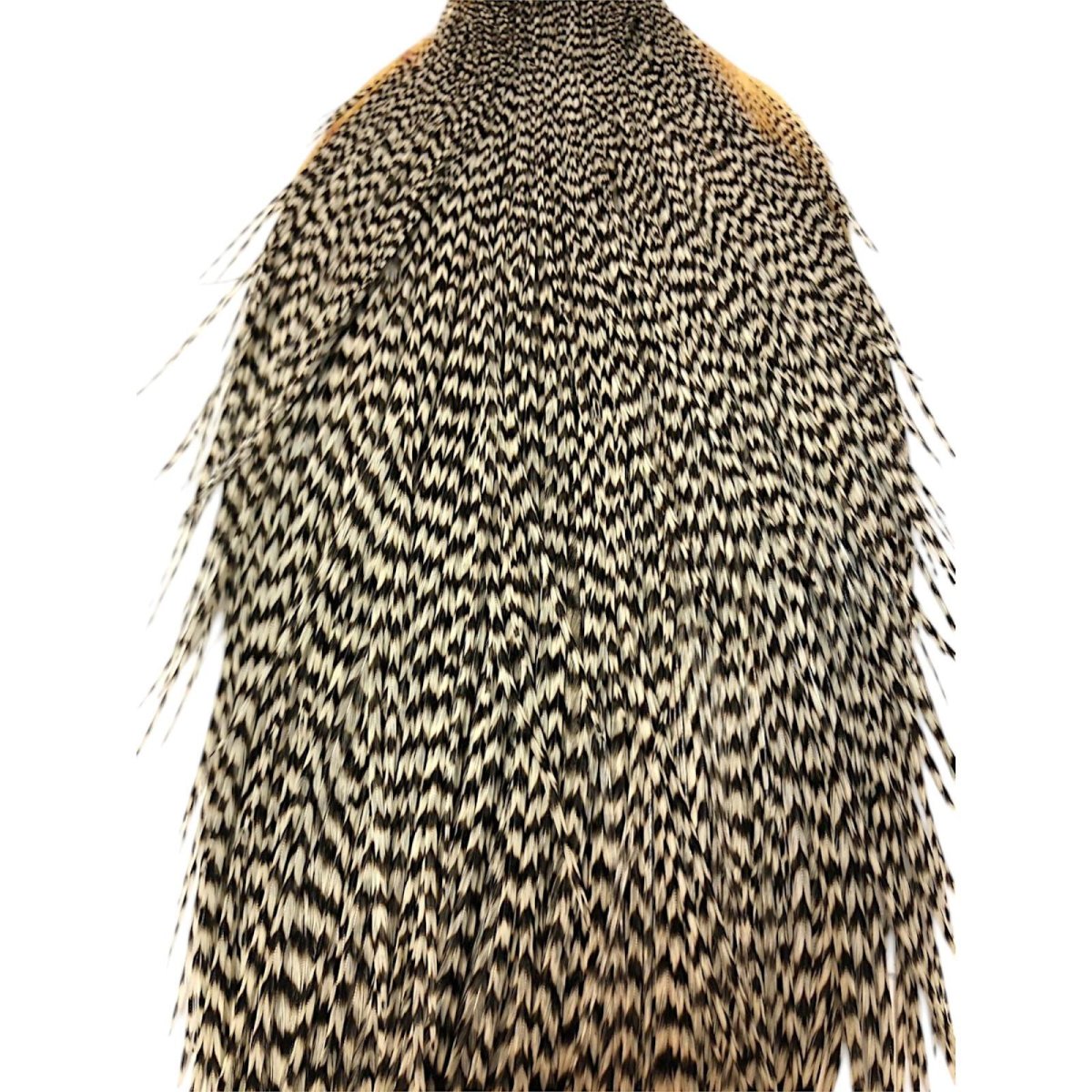 画像2: WHITING Rooster Cape ルースターケープ グリズリー Bronze Grade  BWC8 ホワイティング  (2)