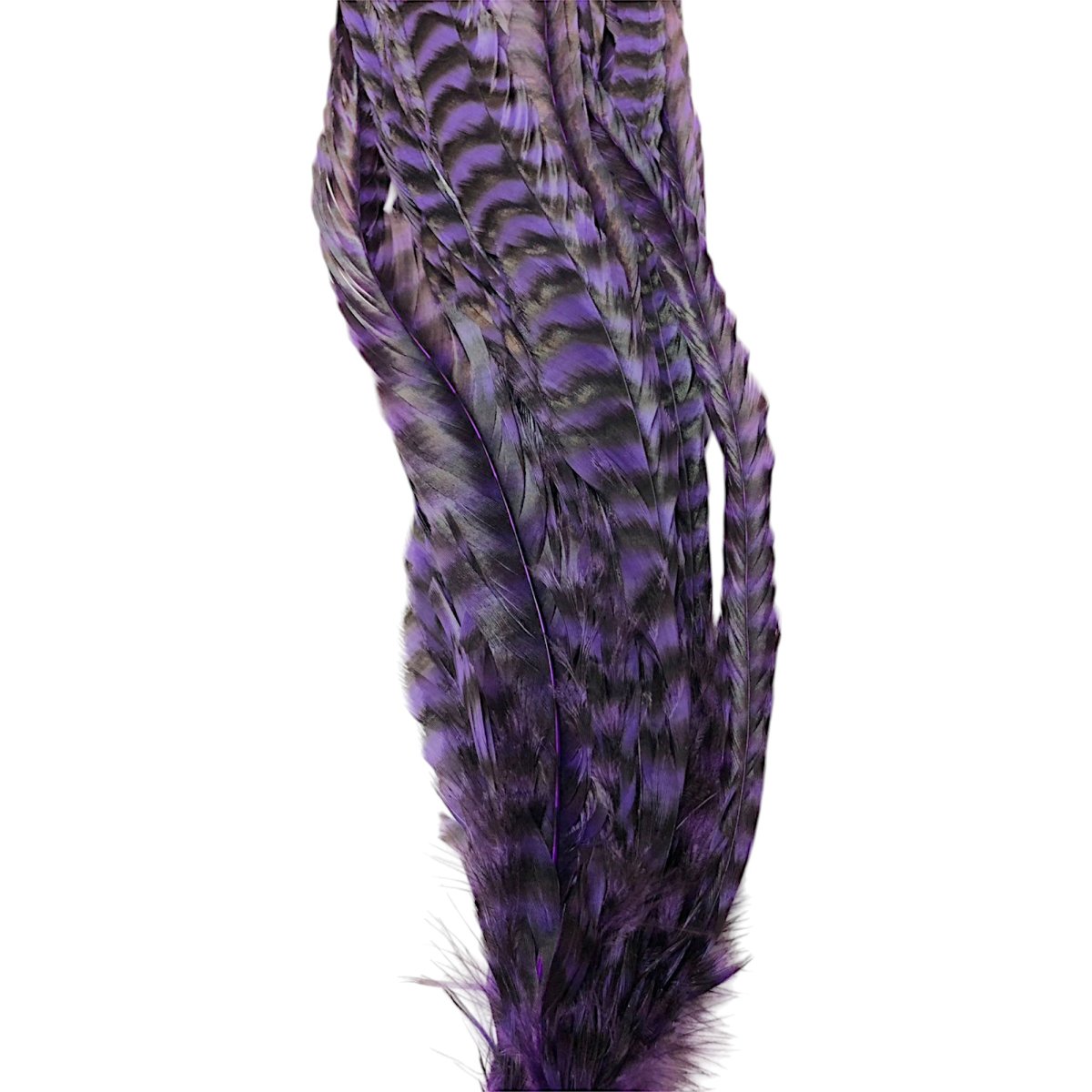 画像4: WHITING  SCHLAPPEN  シュラッペンバンドル10-14 グリズリーパープル SCHBD11 ホワイティング  (4)