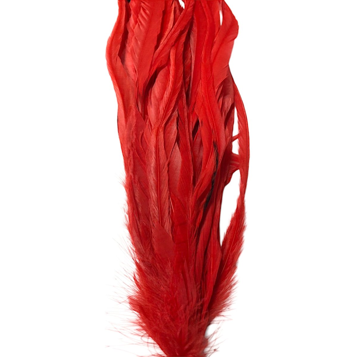 画像4: WHITING  SCHLAPPEN  シュラッペンバンドル10-14 ダイドレッド SCHBD8 ホワイティング  (4)