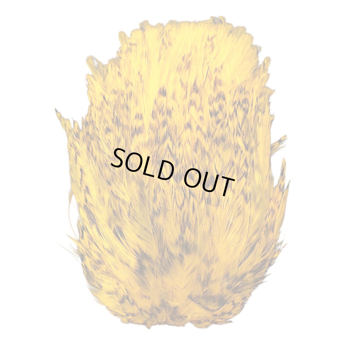 画像2: WHITING American アメリカンストリーマーパック グリズリーイエロー ASP1 ホワイティング  (2)