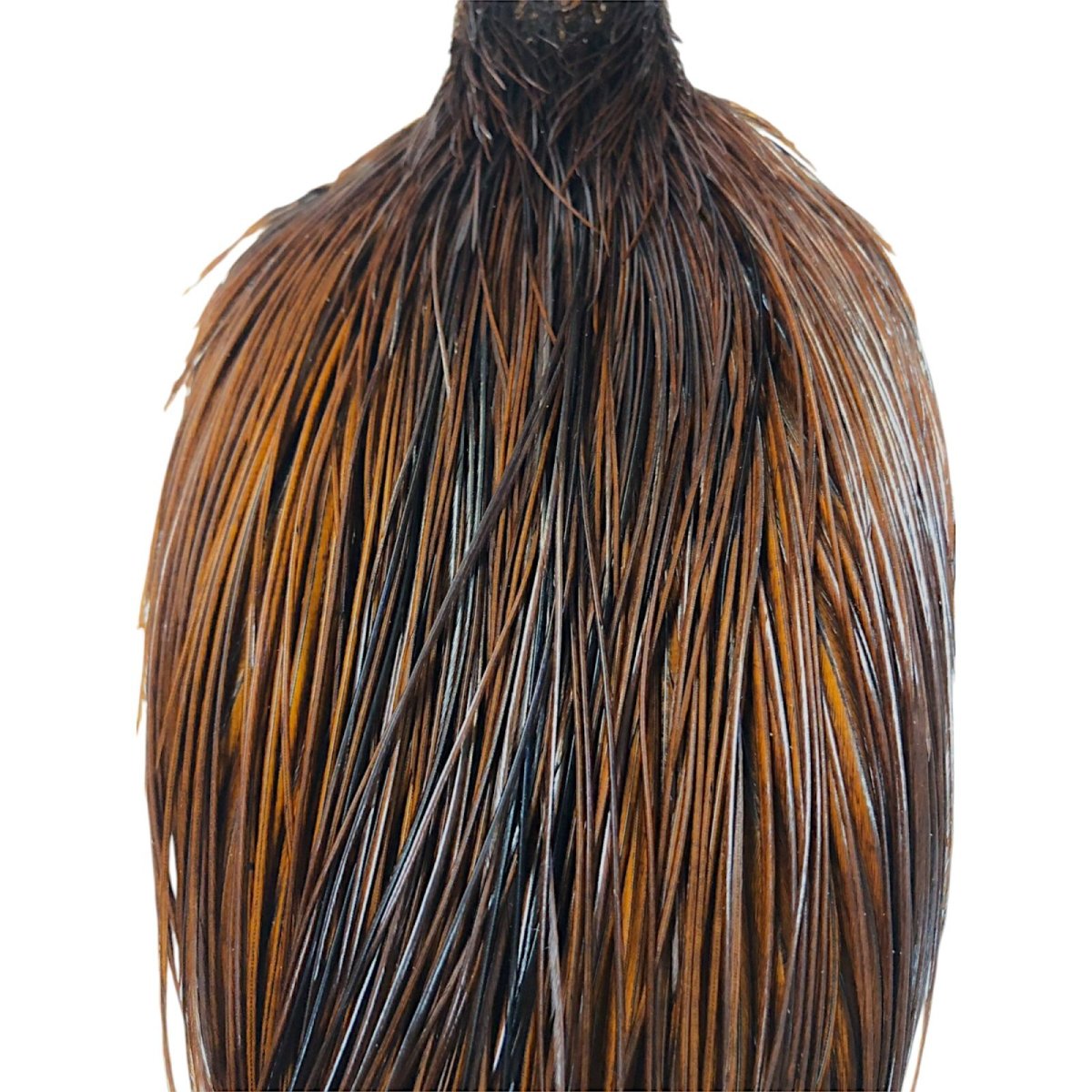 画像2: WHITING Rooster Cape ルースターケープ ダイドコーチマンブラウン Silver Grade  SWC8 ホワイティング  (2)