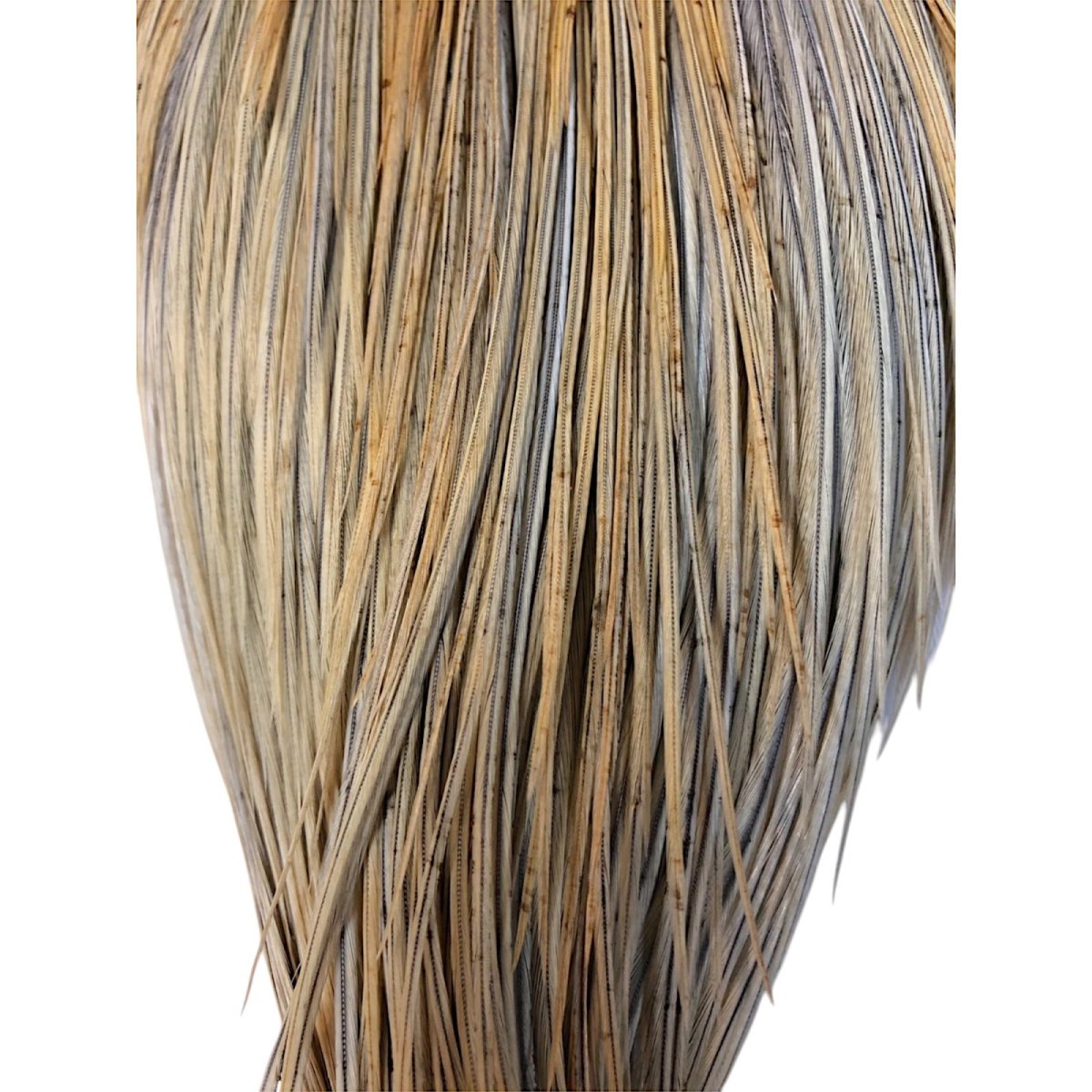 画像3: WHITING Rooster Cape ルースターケープ ライトジンジャー Silver Grade  SWC1 ホワイティング  (3)