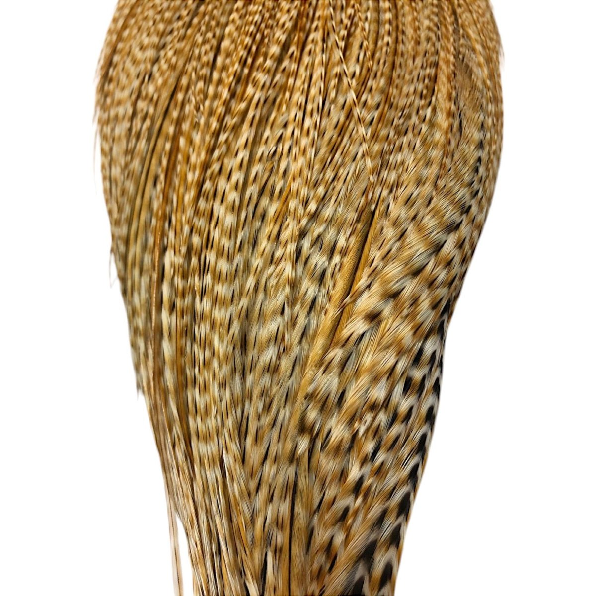 画像3: WHITING Rooster Cape ルースターケープ バードミディアムジンジャー Pro Grade  PWC4 ホワイティング  (3)