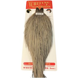 WHITING Rooster Cape ルースターケープ ハニーダン Bronze