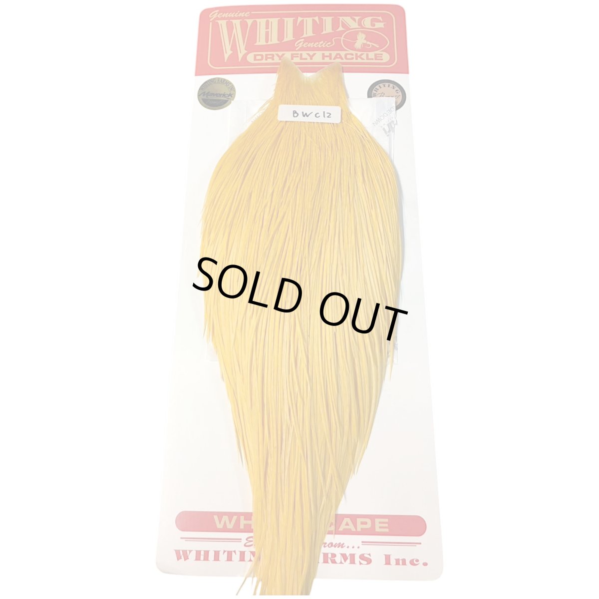 画像1: WHITING　Rooster Cape　ルースターケープ　ダイドゴールデンストロー　Bronze Grade 　BWC12　ホワイティング　 (1)