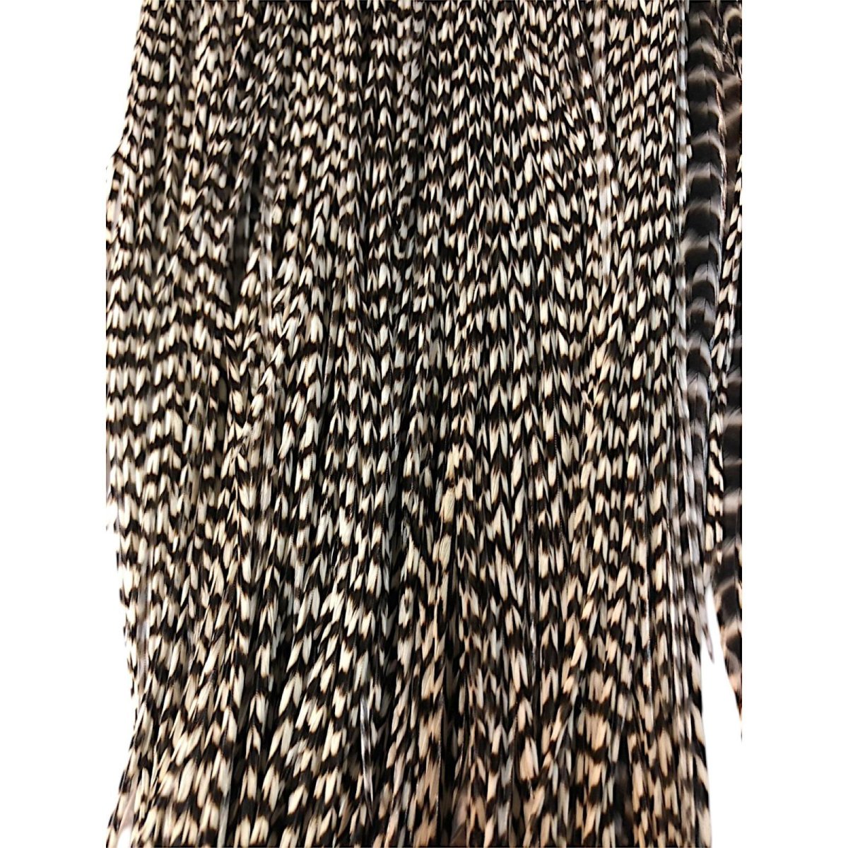 画像3: WHITING Rooster Saddle ルースターサドル グリズリー Bronze Grade  WBRS8 ホワイティング  (3)