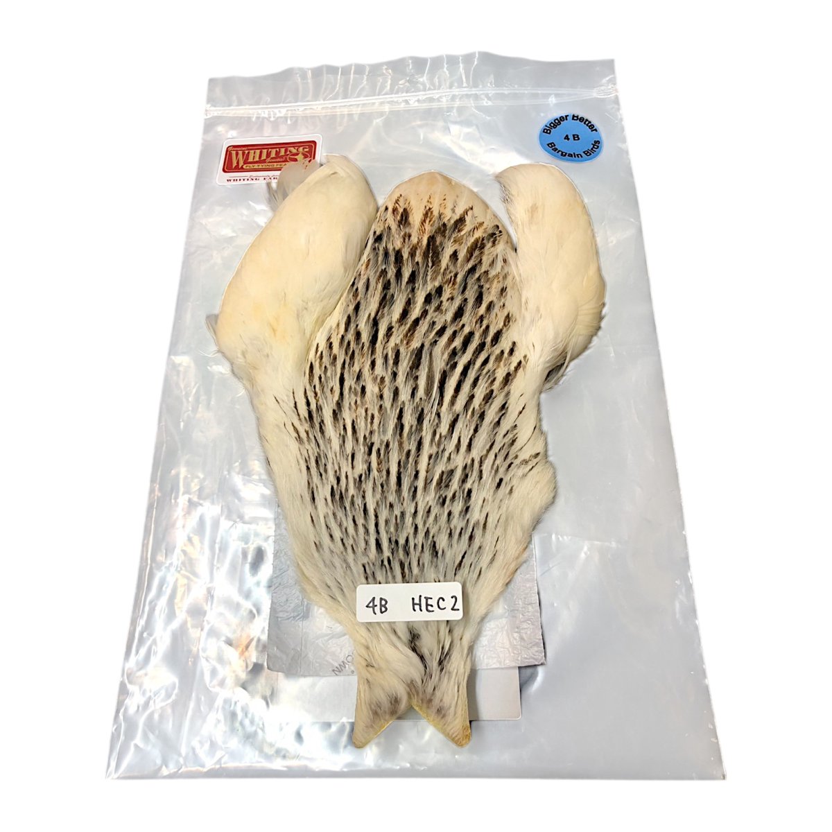 画像1: WHITING　4B　Hen Cape　ヘンケープ　バリアント　HEC2　ホワイティング　 (1)