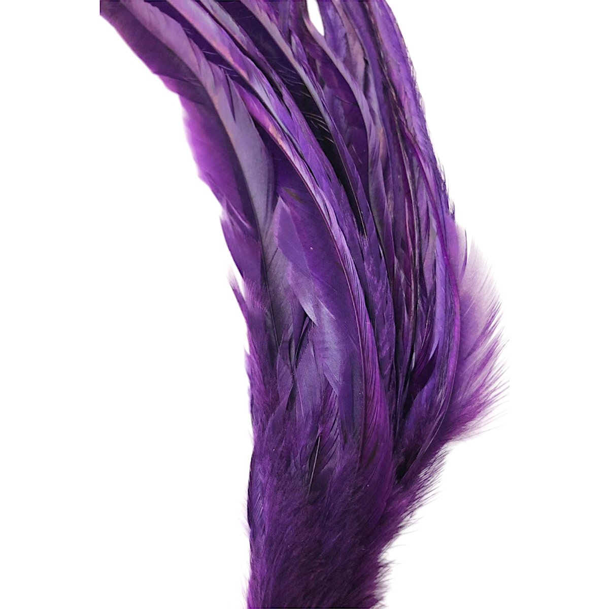 画像4: WHITING  SCHLAPPEN  シュラッペンバンドル10-14 ダイドパープル SCHBD3 ホワイティング  (4)