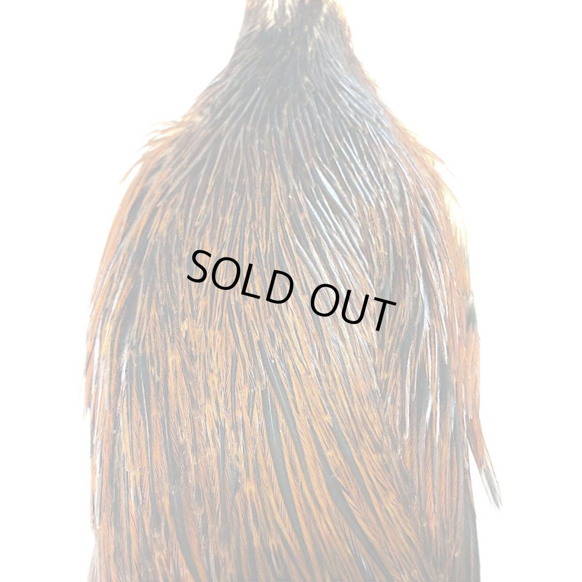 画像2: WHITING　Hen Cape　ヘンケープ　ブラウン　HHHEC3　ホワイティング　 (2)