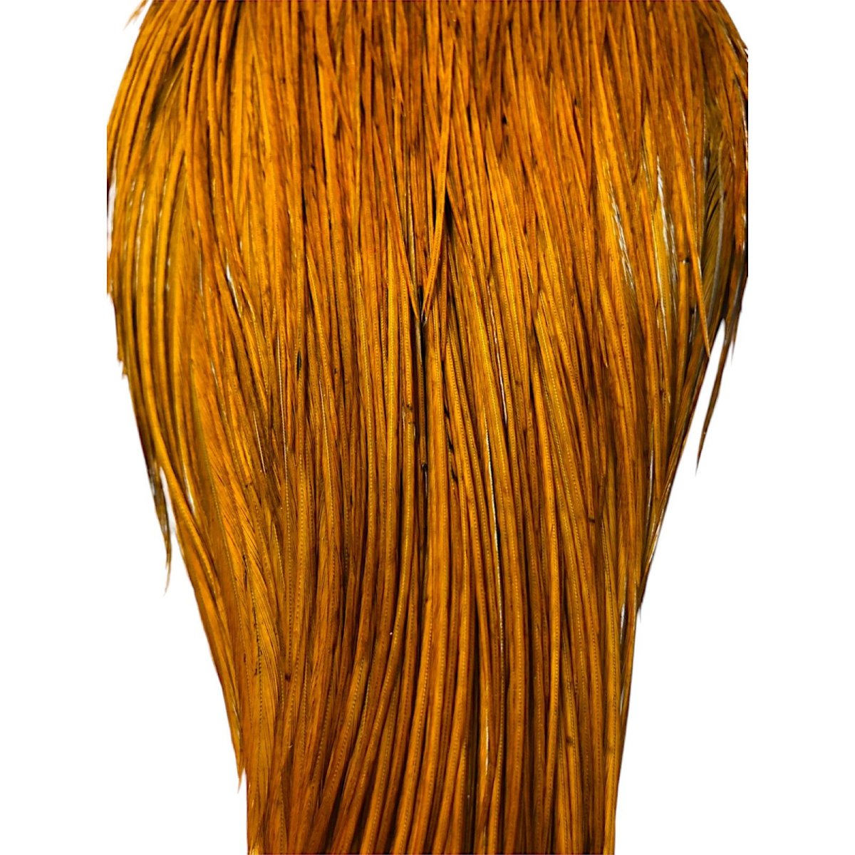 画像3: WHITING Rooster Cape ルースターケープ ダイドブラウン Silver Grade  SWC16 ホワイティング  (3)