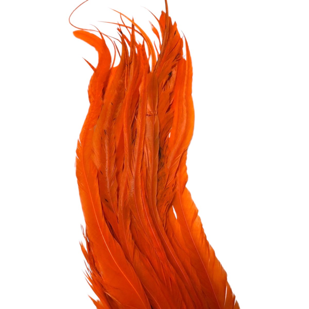 画像3: WHITING  SCHLAPPEN  シュラッペンバンドル10-14 ダイドオレンジ SCHBD5 ホワイティング  (3)