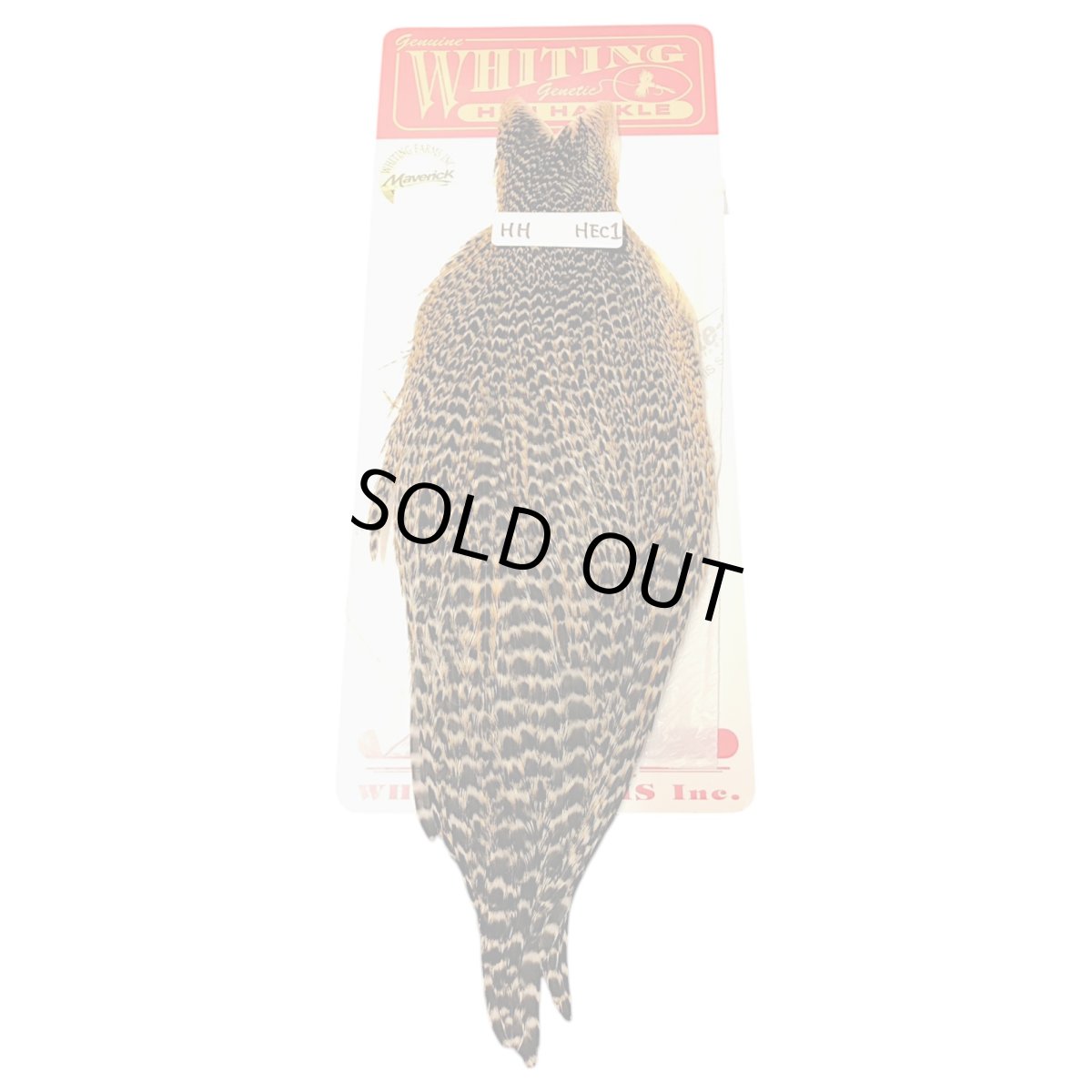 画像1: WHITING Hen Cape ヘンケープ グリズリー HHHEC1 ホワイティング  (1)