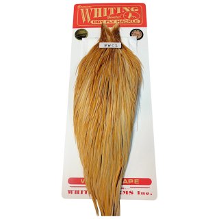 WHITING Rooster Saddle ルースターサドル グリズリーコーチマン