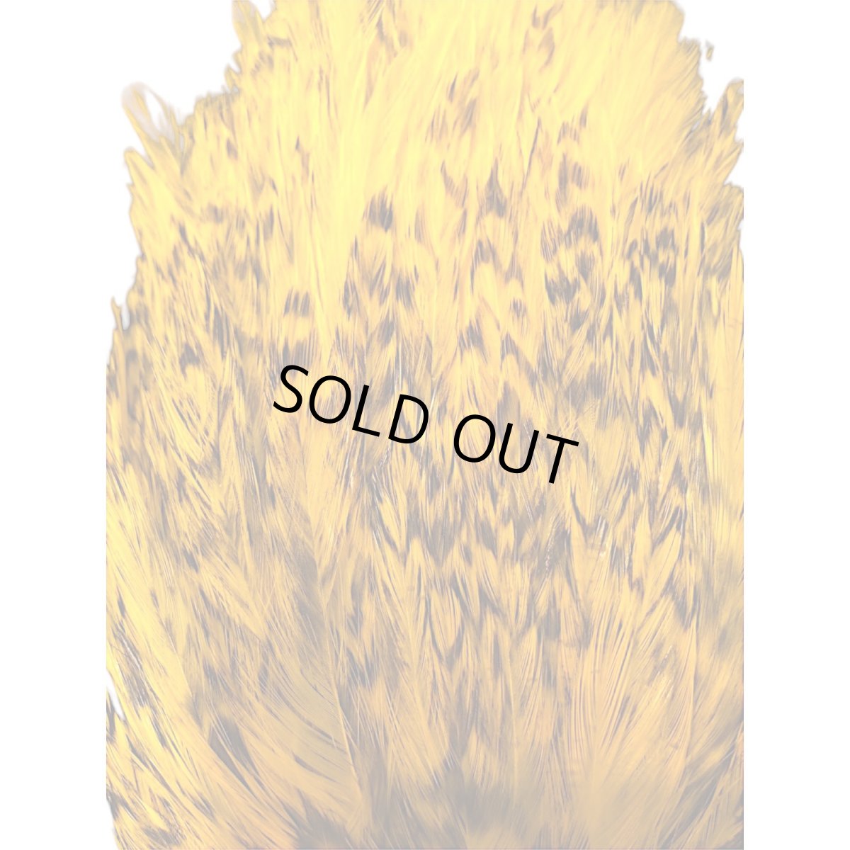 画像3: WHITING American アメリカンストリーマーパック グリズリーイエロー ASP1 ホワイティング  (3)