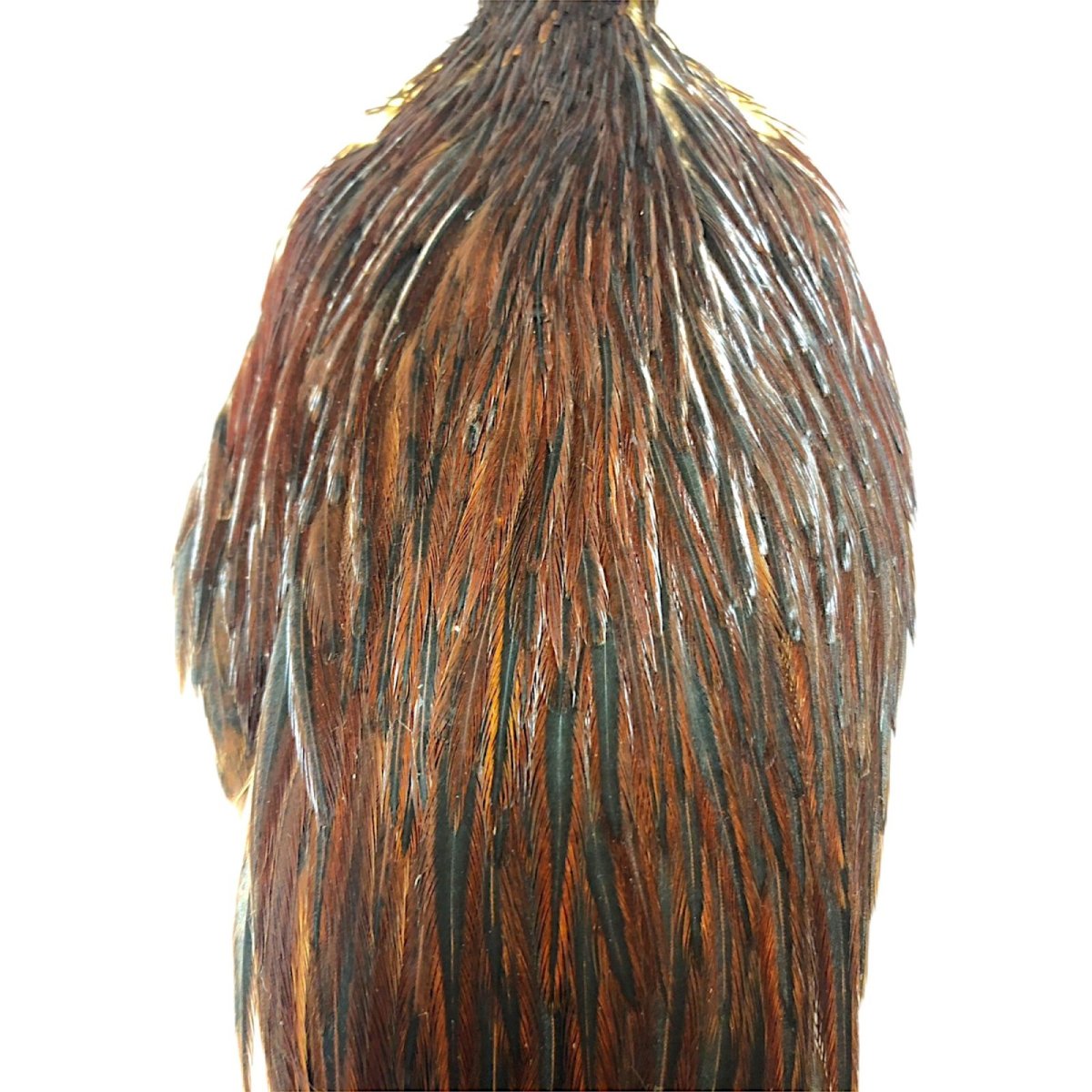 画像2: WHITING Hen Cape ヘンケープ ブラウン HHHEC4 ホワイティング  (2)