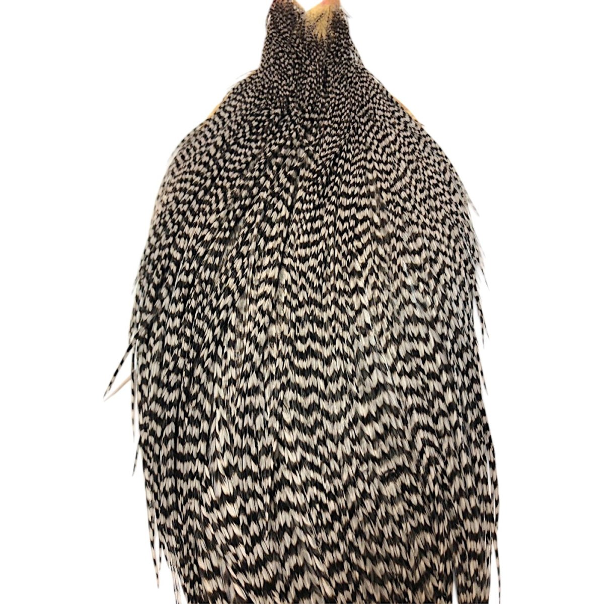 画像2: WHITING Rooster Cape ルースターケープ グリズリーミディアムダン Bronze Grade  BWC22 ホワイティング  (2)