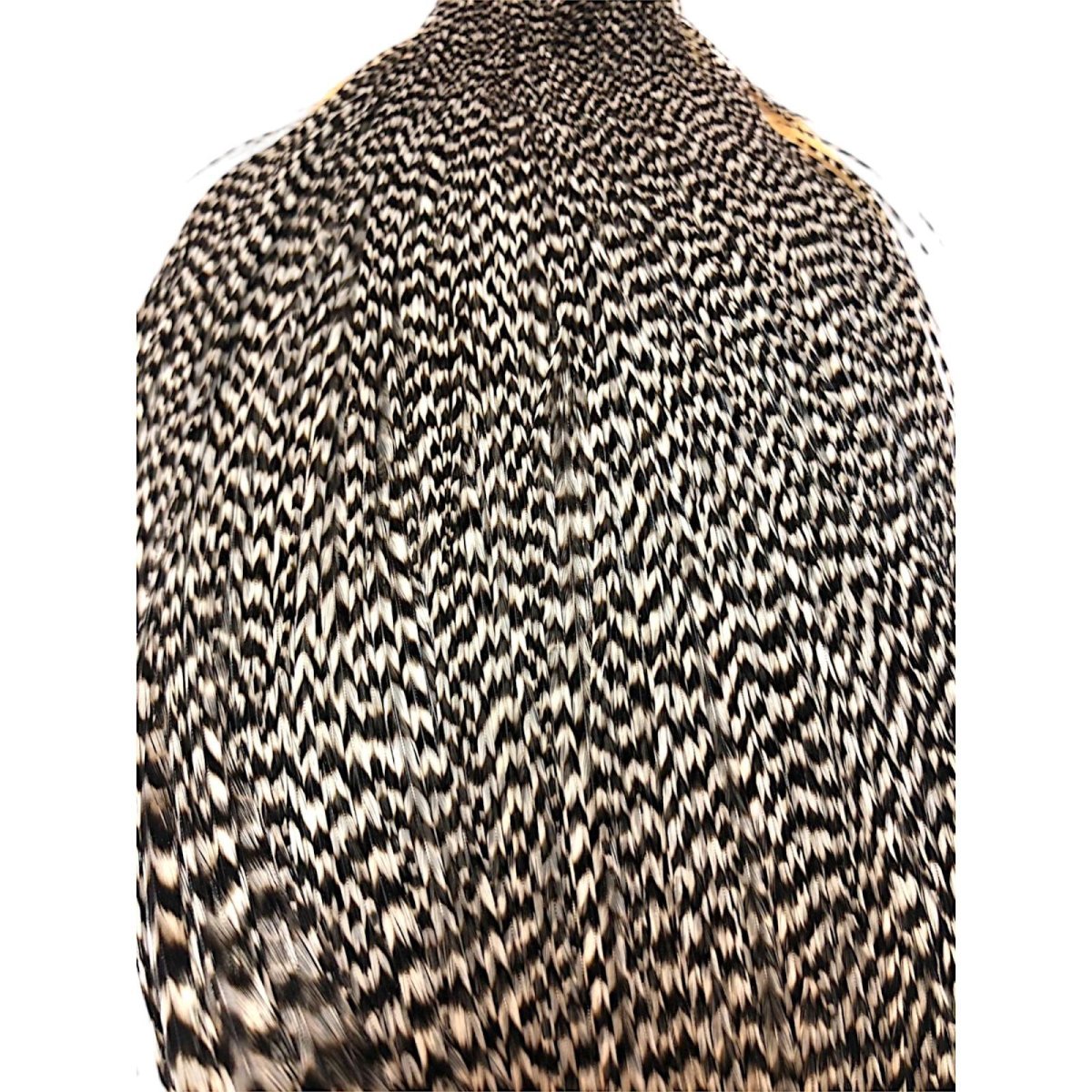 画像2: WHITING Rooster Cape ルースターケープ グリズリー Bronze Grade  BWC6 ホワイティング  (2)