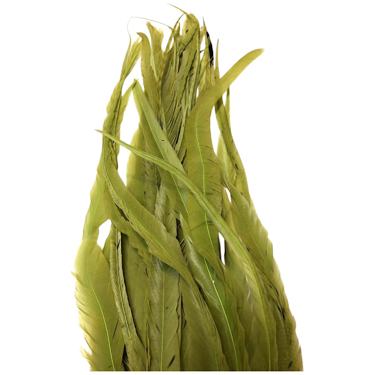 画像3: WHITING  SCHLAPPEN  シュラッペンバンドル10-14 ダイドオリーブ SCHBD4 ホワイティング  (3)