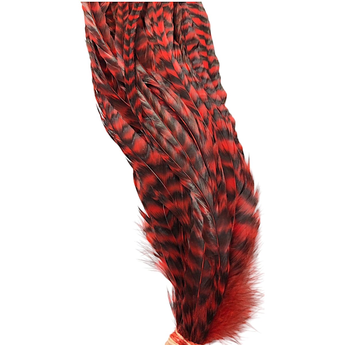 画像4: WHITING  SCHLAPPEN  シュラッペンバンドル10-14 グリズリーレッド SCHBD12 ホワイティング  (4)