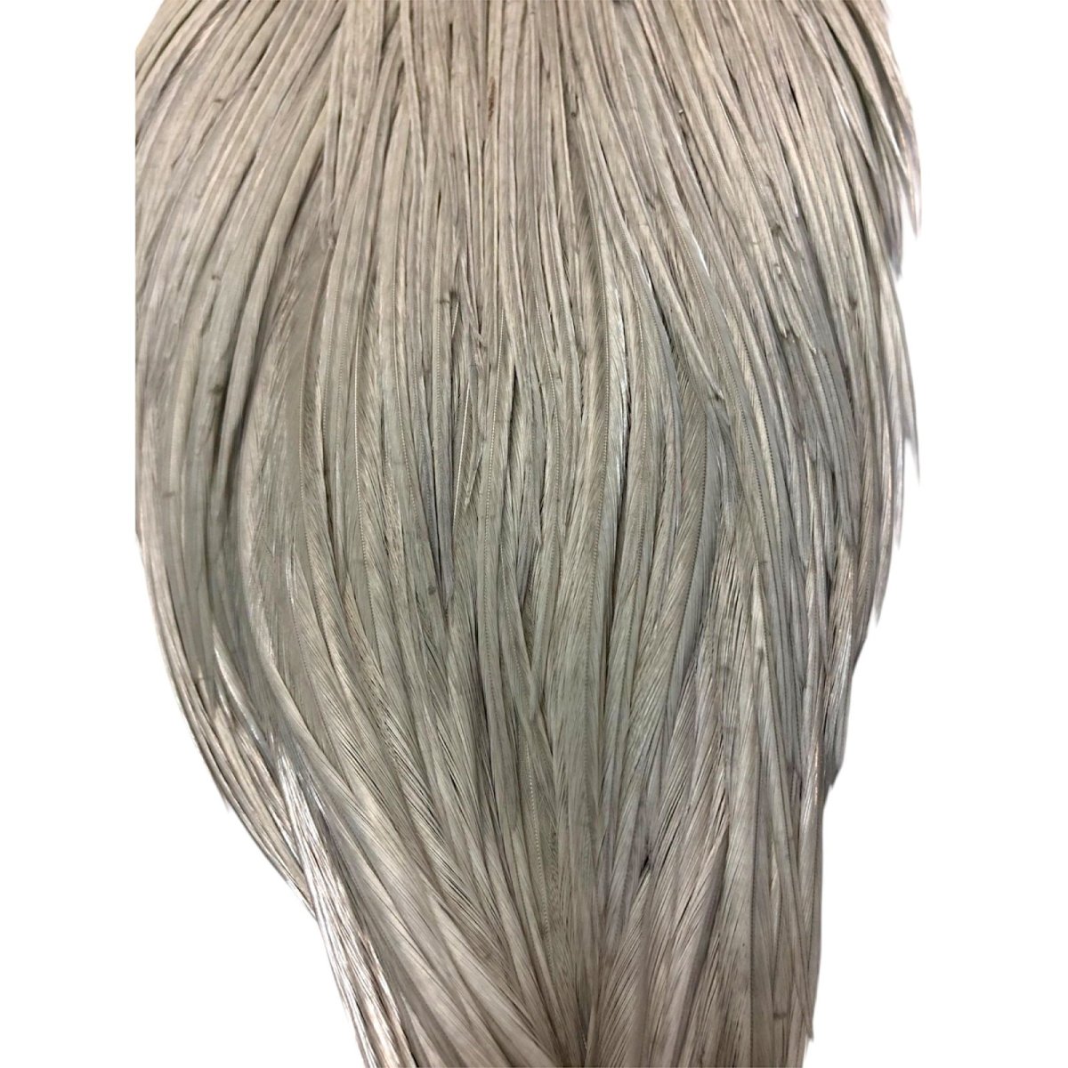 画像3: WHITING Rooster Cape ルースターケープ ダイドライトダン Pro Grade  PWC3 ホワイティング  (3)