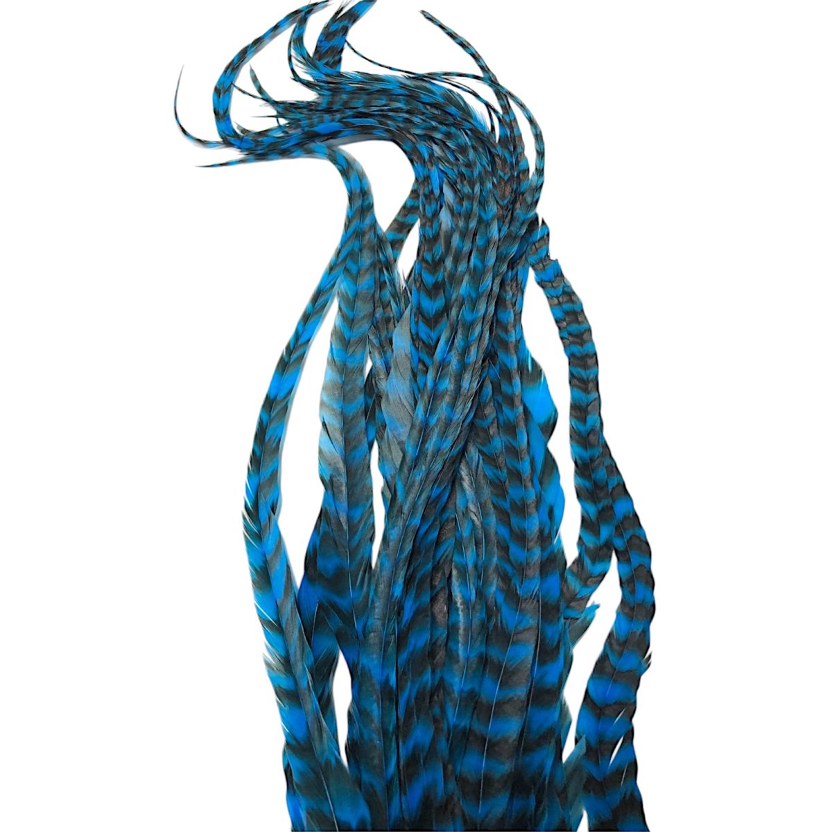 画像3: WHITING  SCHLAPPEN  シュラッペンバンドル10-14 グリズリーキングフィッシャーブルー SCHBD13 ホワイティング  (3)