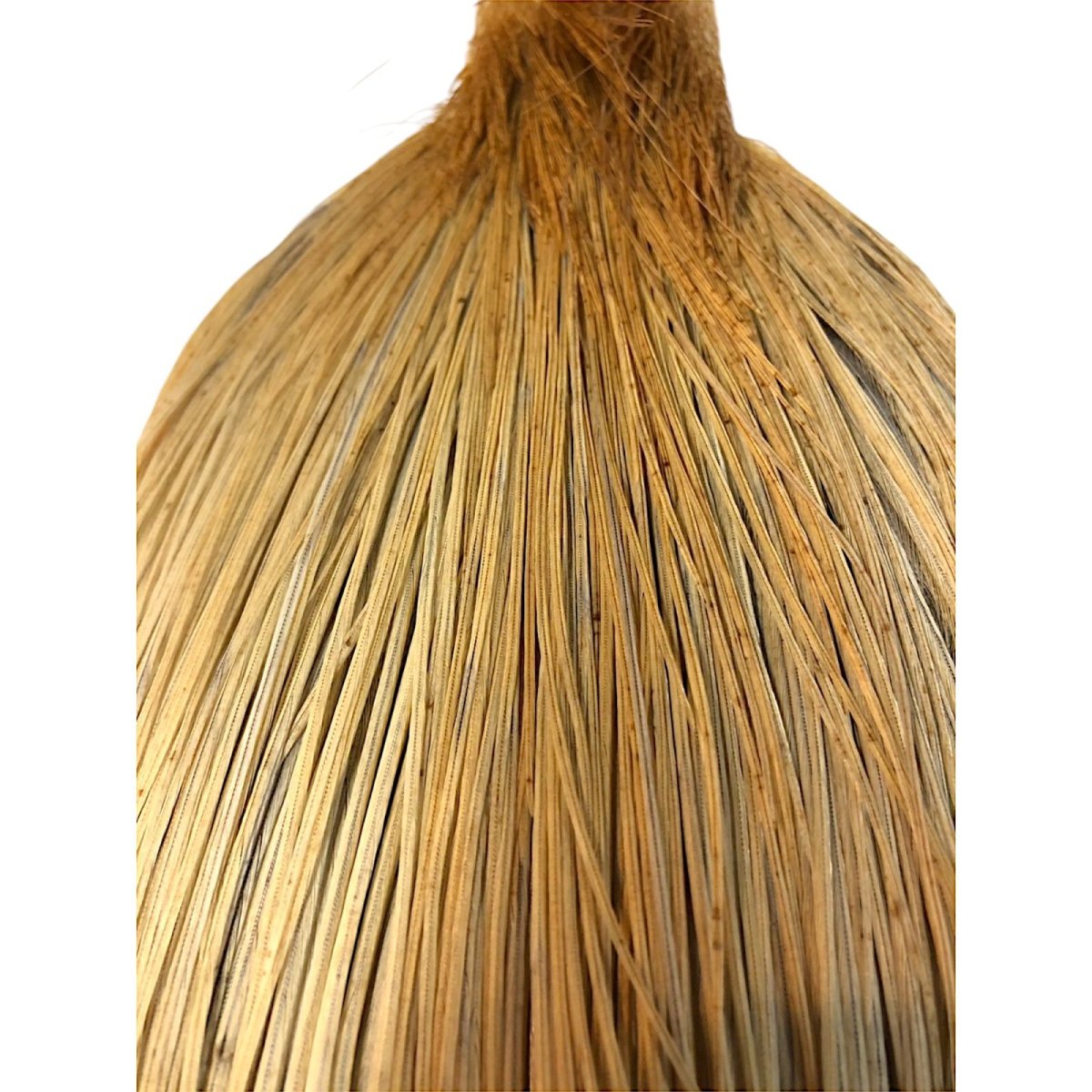 画像2: WHITING Rooster Cape ルースターケープ ライトジンジャー Silver Grade  SWC3 ホワイティング  (2)