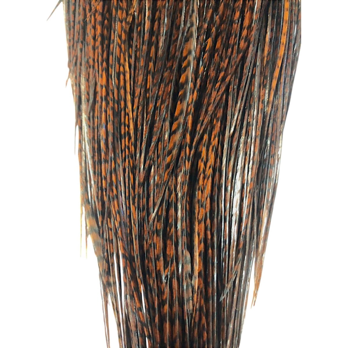 画像3: WHITING Rooster Saddle ルースターサドル グリズリーコーチマンブラウン Bronze Grade  WBRS4 ホワイティング  (3)