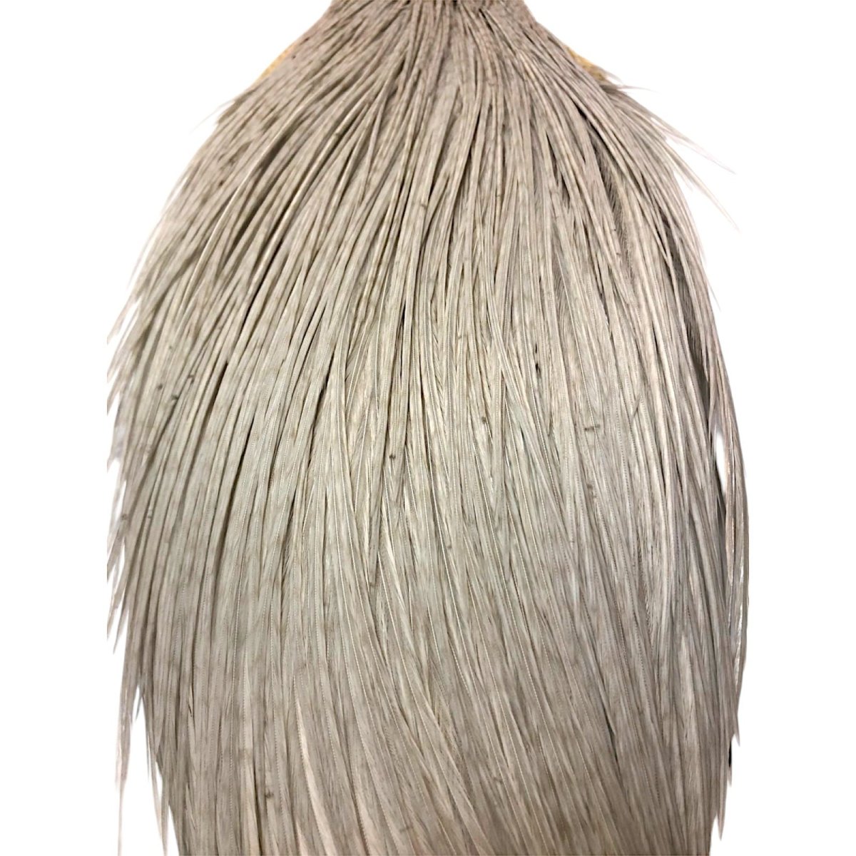 画像2: WHITING Rooster Cape ルースターケープ ダイドライトダン Pro Grade  PWC2 ホワイティング  (2)