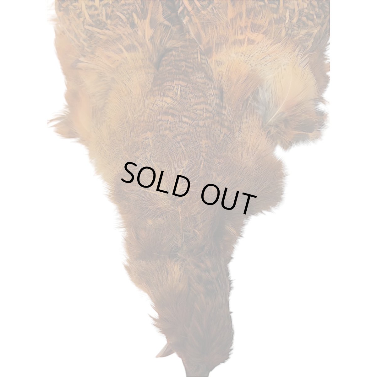 画像3: CANAL  キャナル　パートリッジ　コンプリート　ブラウン (3)